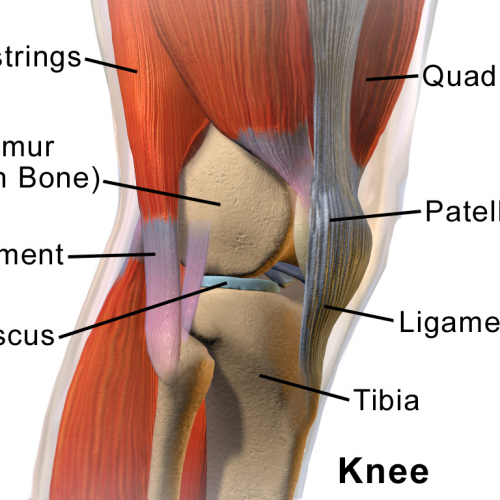 Vật lý trị liệu thoái hóa khớp gối